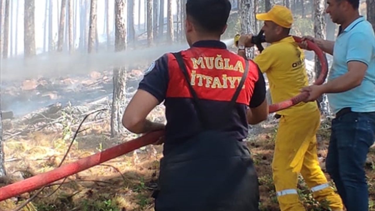 Muğla'da çıkan orman yangını kontrol altına alındı