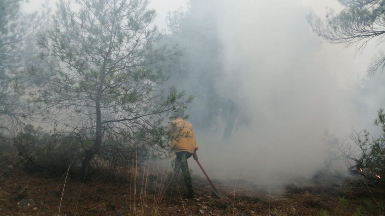 Bolu'da yıldırımın isabet etmesi sonucu orman yangını çıktı