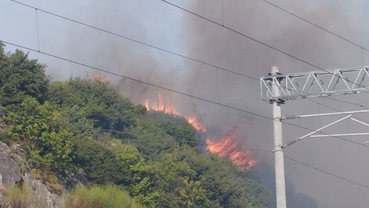 Kocaeli'de çıkan orman yangını kontrol altına alındı
