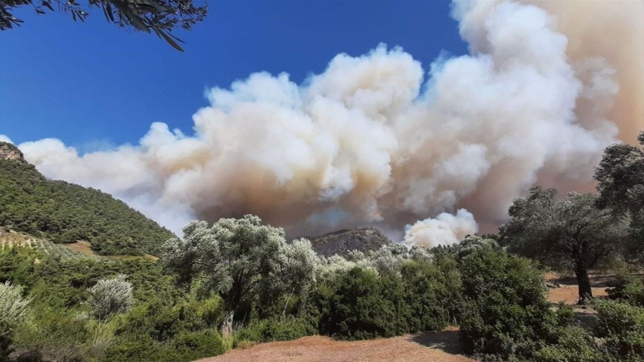Manisa'da makilik alandaki yangına müdahale ediliyor