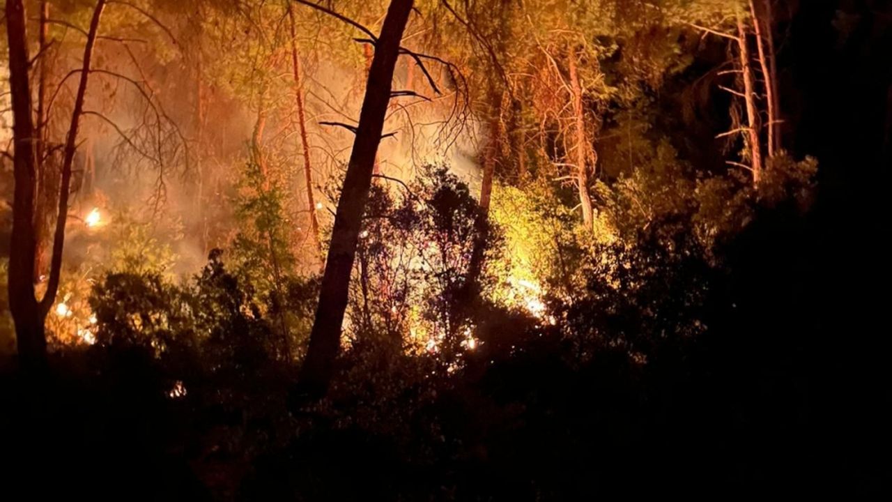 Türkiye'den orman yangınları nedeniyle Şili'ye taziye mesajı