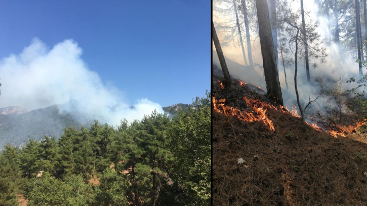 Adana'da bir orman yangını daha