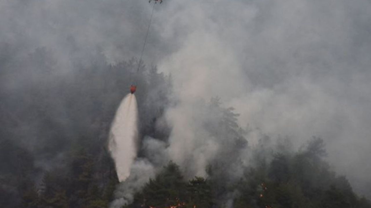 Eskişehir'de 70 hektar kızılçam ormanı yandı
