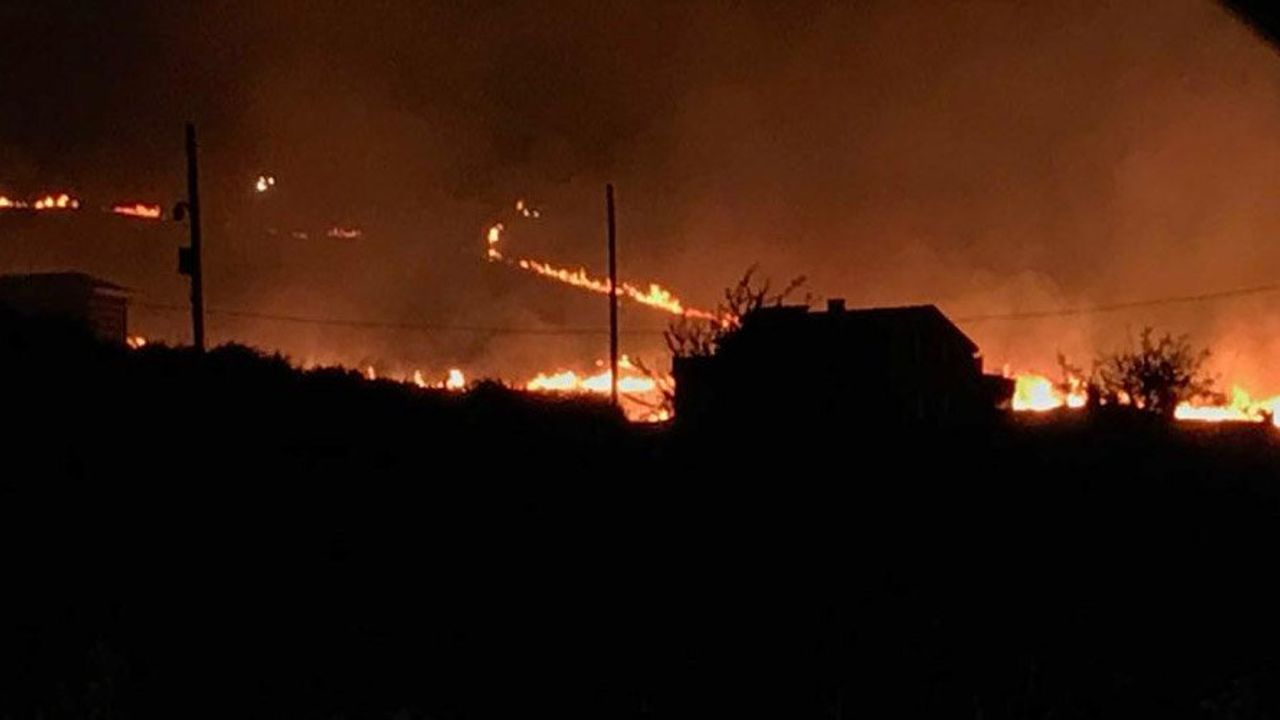 Yalova'da ormanlık alanda yangın çıktı