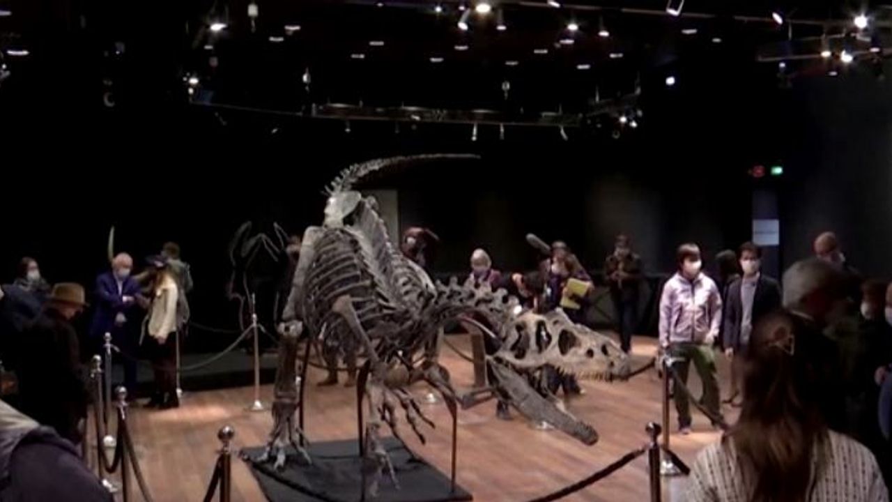 150 milyon yıllık dinozor iskeleti 28 milyon liraya satıldı