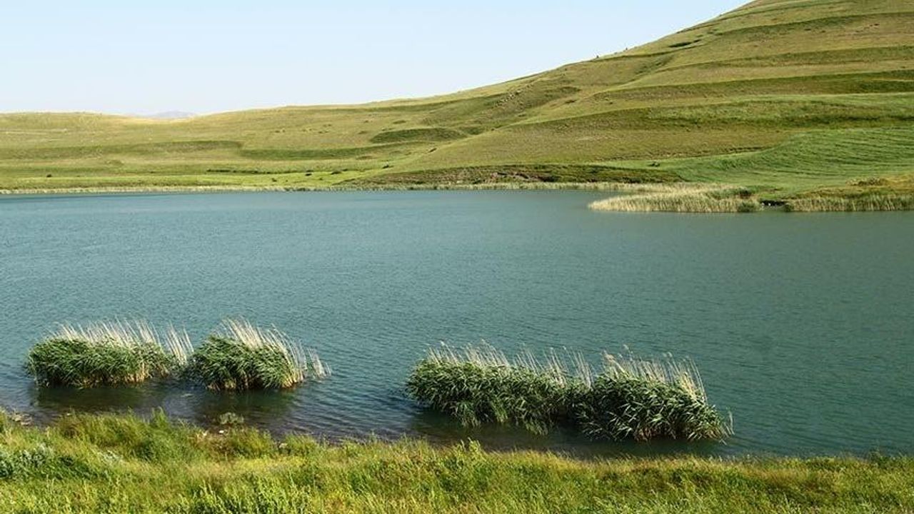 Kars, Erzincan ve Ardahan’da bazı alanlar 'Doğal Sit Alanı' ilan edildi