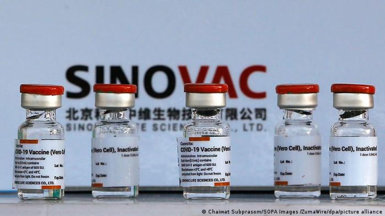DSÖ, Sinovac aşısının acil kullanımını onayladı