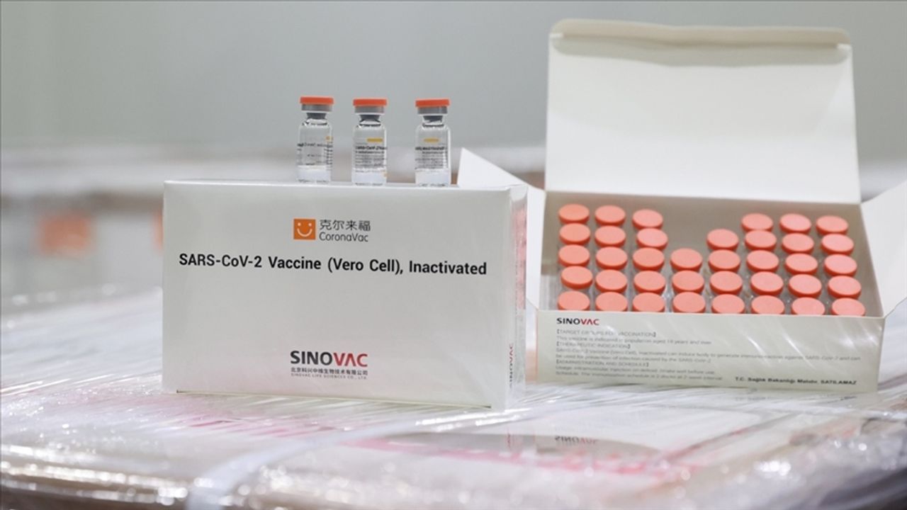 Dünya Sağlık Örgütü, Sinovac aşısına onay verdiğini açıkladı