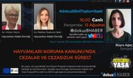 Hayvanları Koruma Kanunu'nda cezalar ve cezasızlık süreci