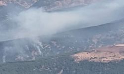Muş kırsalında Şenyayla bölgesi 7 gündür yanıyor