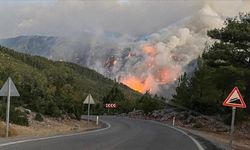 Yangın bölgeleri için "mücbir sebep" ilan edildi, vergi ödemeleri ertelendi