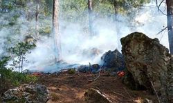 Adana Kozan ve Sarıçam'da orman yangını