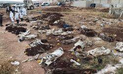 Hatay Valisi: Afrin'de toplu mezarda bulunan ceset sayısı 61'e ulaştı