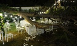 Antalya'da yapılan kır düğününde ağaç devrildi: 1 kişi yaşamını yitirdi