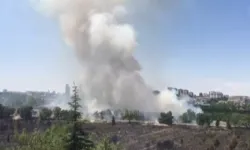 Atatürk Orman Çiftliği'ndeki yangın söndürüldü, 1 kişi gözaltında