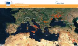 Doğa Bilimcisi Çoraman: Türkiye'de yıl içerisinde normale göre 40 gün daha fazla orman yangını görülebilir