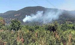 İzmir Ödemiş'te orman yangını