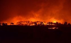 Murat Yetkin uyardı: Yangınlar sönmeden orman ve kıyılar yağmaya açılıyor