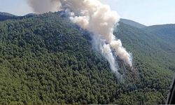 Muğla’daki orman yangını ile ilgili yürütülen soruşturmada bir kişi tutuklandı