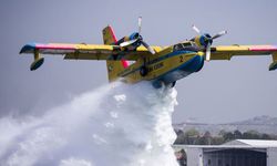 Yunanistan'da yangın söndürme çalışmalarına katılan uçak düştü