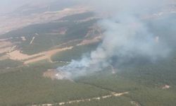 İzmir'de iki ayrı ilçede orman yangını çıktı