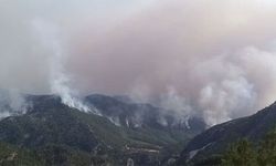 Antalya Akseki'deki orman yangınıyla ilgili bir kişi tutuklandı