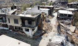Alanya'daki orman yangınlarında 107 evin zarar gördüğü açıklandı