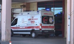 Eskişehir'de işçileri taşıyan minibüsün ağaca çarptığı kazada 12 kişi yaralandı