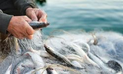 Samsun'da aşı olmayan balıkçılara av yasağı getirildi