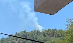 İstanbul Beykoz'da ormanlık alanda yangın