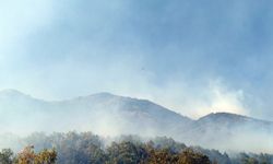 Bingöl'deki orman yangını devam ediyor