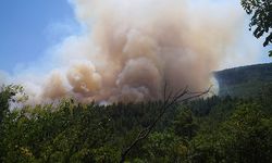Bucak'ta orman yangını