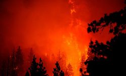 Caldor yangını ABD'de 756 kilometrekare alana yayıldı