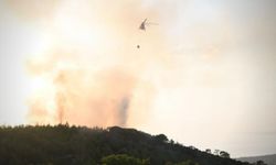 Çanakkale'de 3 hektarlık alanda etkili olan orman yangını kontrol altına alındı