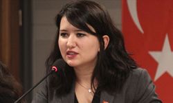CHP'li Gökçen'den, "yeni anayasa" açıklaması