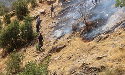 Goman Tepe çevresindeki yangın kontrol altında