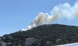 Heybeliada'da orman yangını: Kontrol altına alındı