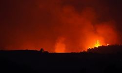İtalya'da orman yangınları: 3 ölü