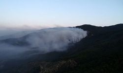 Bakan Pakdemirli: Kazdağları'ndaki yangın kontrol altında