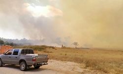 Manavgat’ta yine orman yangını