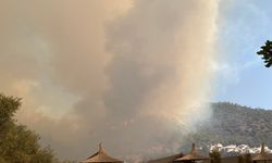 Milas Belediye Başkanı Tokat: Yangın kritik eşiği aştı