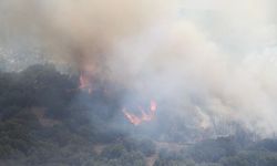 Orman Genel Müdürlüğü: 7 orman yangınının tamamını kontrol altına aldık
