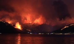 Tarım Orman-İş Sendikası Başkanı Durmuş: Yangın ödeneğinden lüks araç aldılar