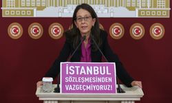Ersoy: İstanbul Sözleşmesi'nden çekilme kararı sonrası 124 kadın katledildi