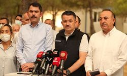 "Muğla'da Köyceğiz ve Milas, Aydın'da Bozdoğan yangını devam ediyor"