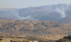 Şırnak'ta 4 ayda 21 orman yangını
