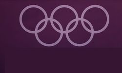 Türkiye'nin paralimpik oyunlarında madalya sayısı 29'a yükseldi