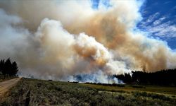 ABD’de orman yangınları devam ediyor