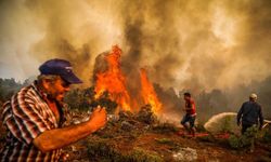 5 ilde 14 farklı noktada orman yangını devam ediyor