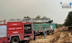 Antalya Döşemealtı'da orman yangını: Kontrol altına alındı